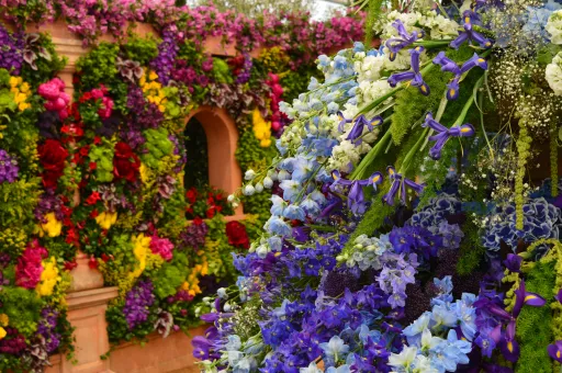 A vibrant display of various flowers in shades of purple, blue, yellow, and red, arranged against a decorative wall.