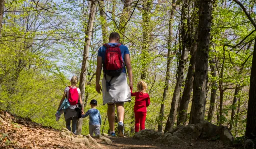 Group of four people walks along a forest path surrounded by green trees.