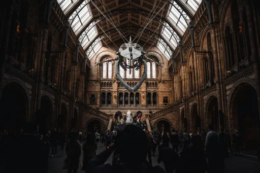 Large hall with a suspended whale skeleton and many people walking around.