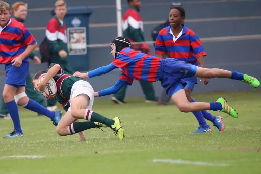 pexels-case-originals-3698164