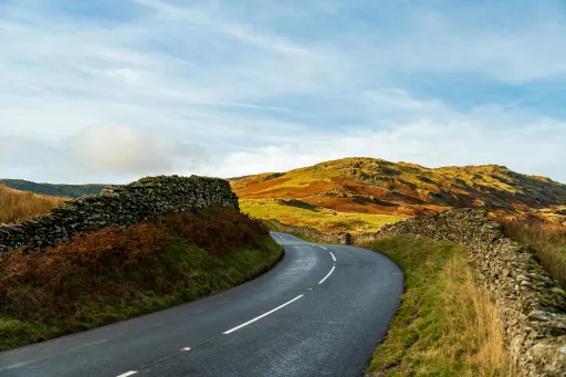 pexels-michalrobak-29405554