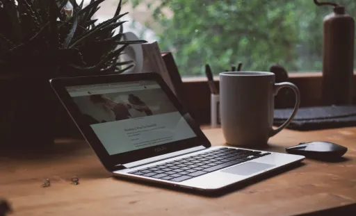 A laptop on a wooden table with a mug, mouse, and a plant in the background.