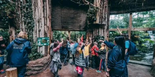 A group of people stands inside a nature exhibit, with some pointing and others looking around.