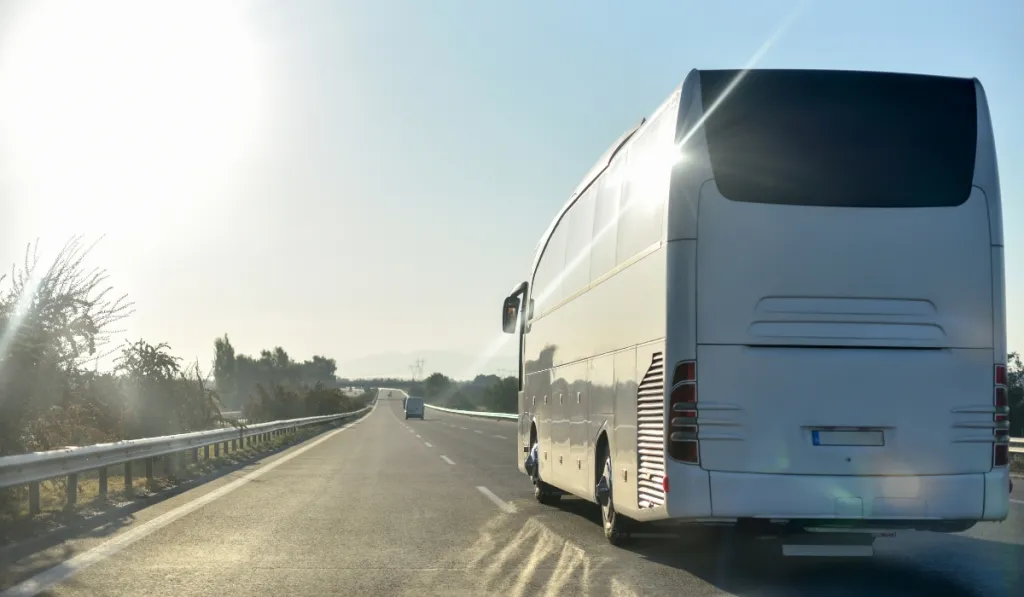 Untitled design (10)