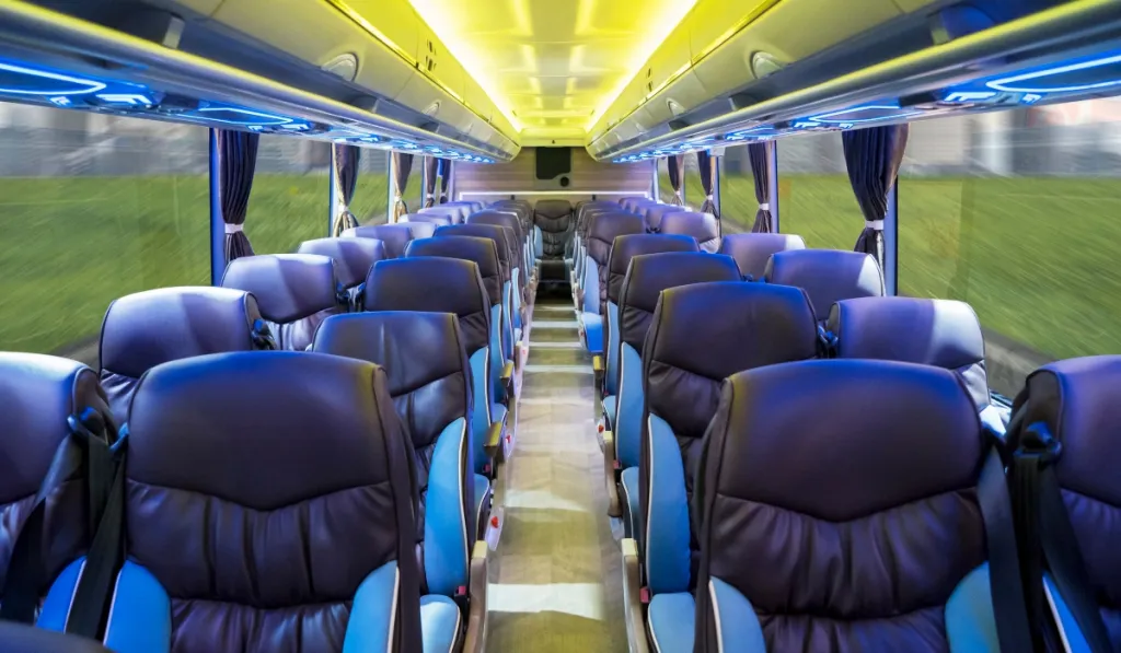 Untitled design (13)