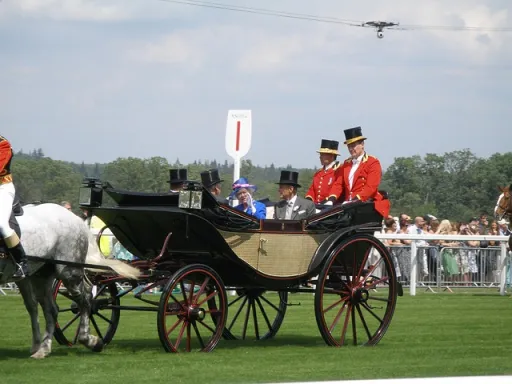 Horse-drawn carriage with passengers in formal attire is seen on a grassy field.