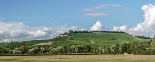 Green hillside with vineyards under a blue sky and scattered clouds.