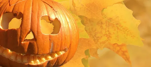 A carved pumpkin with a smiling face, surrounded by yellow autumn leaves.
